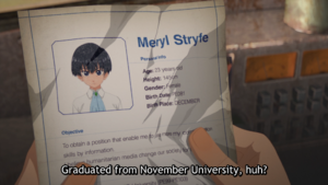 MerylResume.PNG