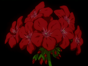 17 RedGeranium.png