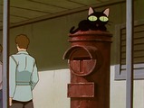 Kuroneko wakes up on a postbox.