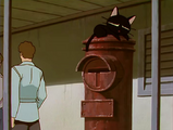 Kuroneko naps on a postbox.